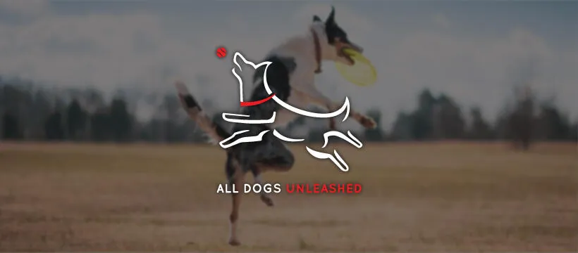 All Dogs Unleashed franchise expansion: Tampa and Orlando, Florida